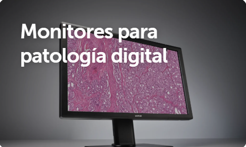 Captura de pantalla 2025-07-03 122516